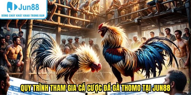 Các Bước Để Tham Gia Cá Cược Đá Gà Thomo Trên Jun88
