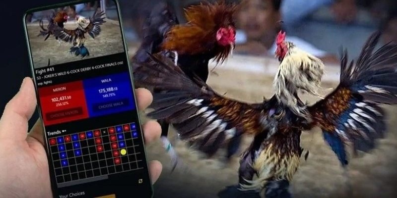 Đa Dạng Cửa Cược: Lựa Chọn Chiến Thuật Phù Hợp, Tối Ưu Hóa Lợi Nhuận