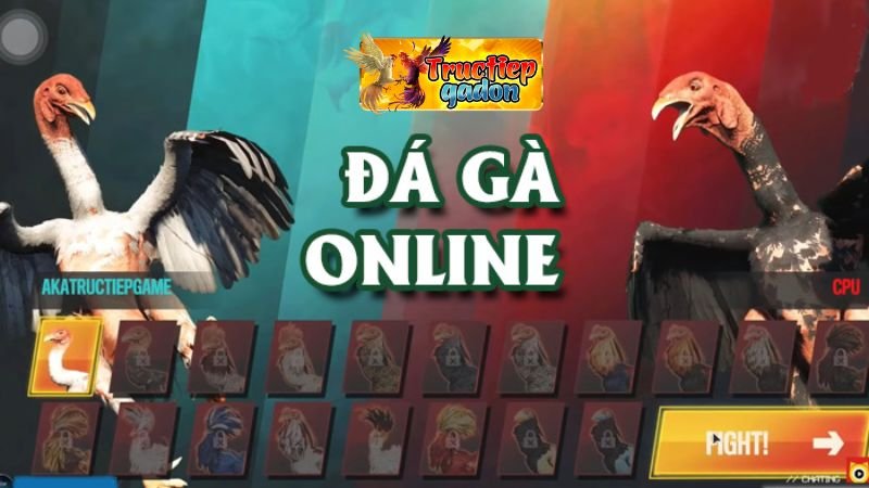 Những Hình Thức Đá Gà Trực Tiếp Hàng Đầu: Sự Đa Dạng và Hấp Dẫn Tuyệt Đỉnh