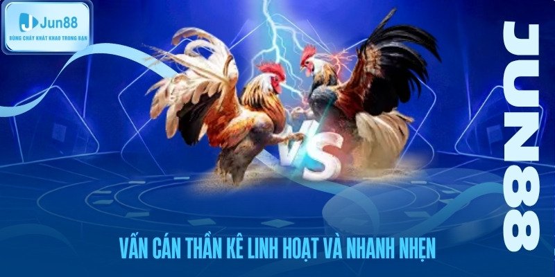 Vấn Cán - Nét đặc trưng của sự linh hoạt và tốc độ.